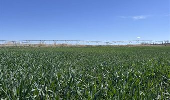 2834 Lane 42, Basin, WY 82410