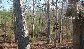 Buckhead Rd, Blair, SC 29015