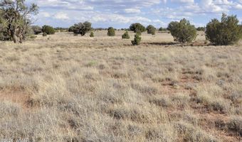 10 N9228, Concho, AZ 85924