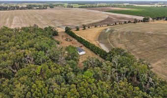 4754 10th St, Bell, FL 32619