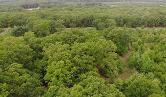 Lot 25 Rains County Road 2610, Alba, TX 75410