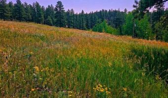620 Davis Ranch Rd, Bellvue, CO 80512