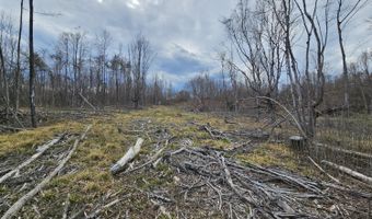 295 Shellstone Rd, Amsterdam, NY 12010