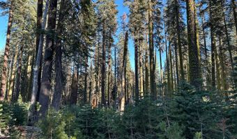 550 Cabbage Patch Log Rd, South Lake Tahoe, CA 95223