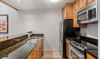 610 S West End St D304, Aspen, CO 81611