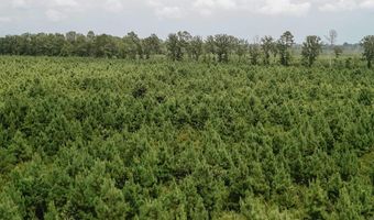 Copeland Ridge Road, Arkadelphia, AR 71923