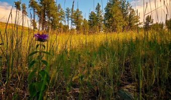 620 Davis Ranch Rd, Bellvue, CO 80512