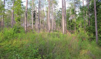 Hwy 9, Bruce, MS 38915