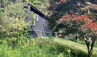 66 Blackberry Ln, Andes, NY 13731