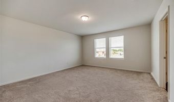 713 Peach Tree Ln, Anna, TX 75409