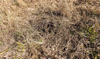 0 Thomas Rd, Altoona, KS 66710