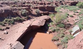 236 N9233 SE, Concho, AZ 85924