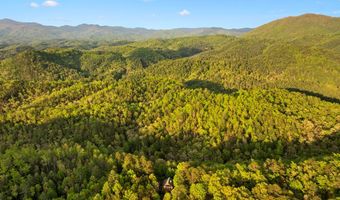 273 N Rhododendron Rd, Almond, NC 28702