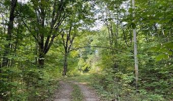 Lot 53 Robb Hill Road, Alexander, ME 04694