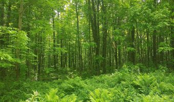 9 Private Road WI-139, Argonne, WI 54511