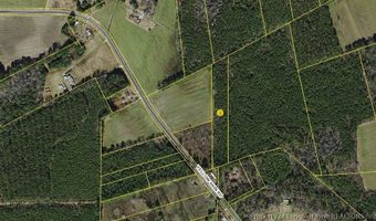 Lot 1-a Yellowskin Rd Road, Autryville, NC 28318