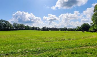 3350 SE Mount Pleasant Ln, Bogue Chitto, MS 39629