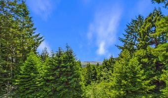 1531 Fickle Hill Rd, Arcata, CA 95521
