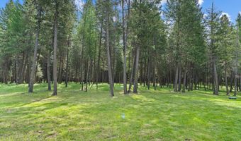 2432 GILSON Rd, Addy, WA 99101