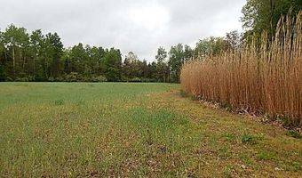 15252 27 Mile Rd, Albion, MI 49224