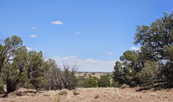 27 N 9183, Concho, AZ 85924