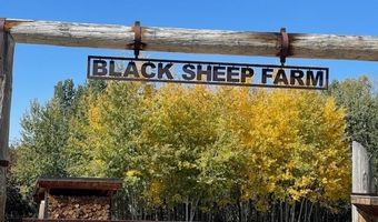 2815 N BLACK SHEEP FARM Rd, Alta, WY 83414