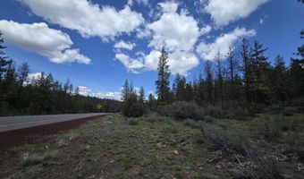 Yak Lane, Bonanza, OR 97623