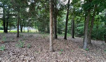 Nettle LN, Bella Vista, AR 72714