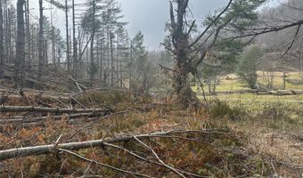 99999 White Pine Ln, Bakersville, NC 28705