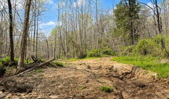 Martha Stockton Road, Albany, KY 42602