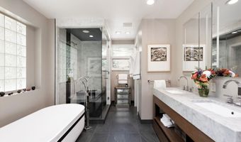 1145 Black Birch Dr, Aspen, CO 81611