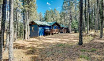 57 Sarazen Ter, Angel Fire, NM 87710