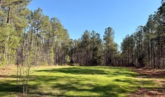 Highway 28, Abbeville, SC 29620