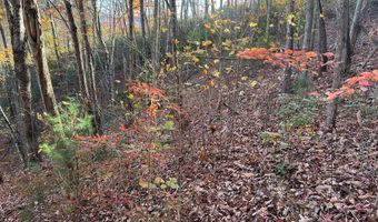 Musket Dr lot 66, Almond, NC 28702