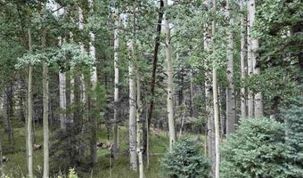 Back Basin Road lot 4, Angel Fire, NM 87710