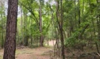 Double Pond Road, Blackville, SC 29817