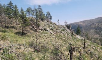 693 Cougar Dr, Bellvue, CO 80512