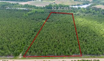 Tract 11 Sanderling, Alma, GA 31510