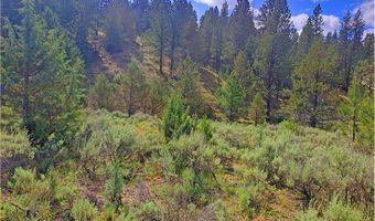 12142 Burns-Izee Rd, Seneca, OR 97873