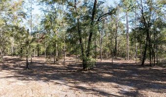 4700 County Road 340, Bell, FL 32619