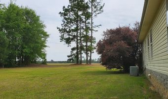 762 Old McLeod Brg, Adrian, GA 31002