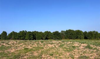 Tbd County Road 335, Anson, TX 79501