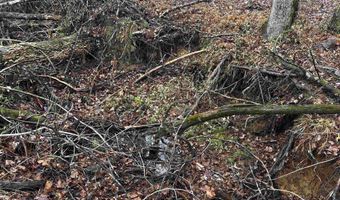 67 Old Wire Rd, Atkins, AR 72823