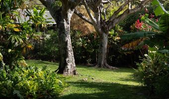 453 N Honokala Rd, Haiku, HI 96708