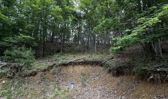281 Eclipse Ln, Arbovale, WV 24915