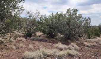 2544 N Double A Rnch Rd, Ash Fork, AZ 86320