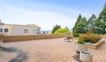 545 Pierce St 1206, Albany, CA 94706