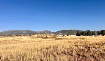 1120 N 100 E, Beaver, UT 84713