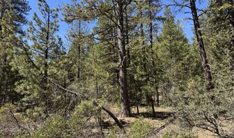 Horned Owl Way 385461, Bonanza, OR 97623