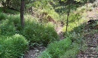 FOX RUN lot 24A 3.22 Ac, Baker, WV 26801